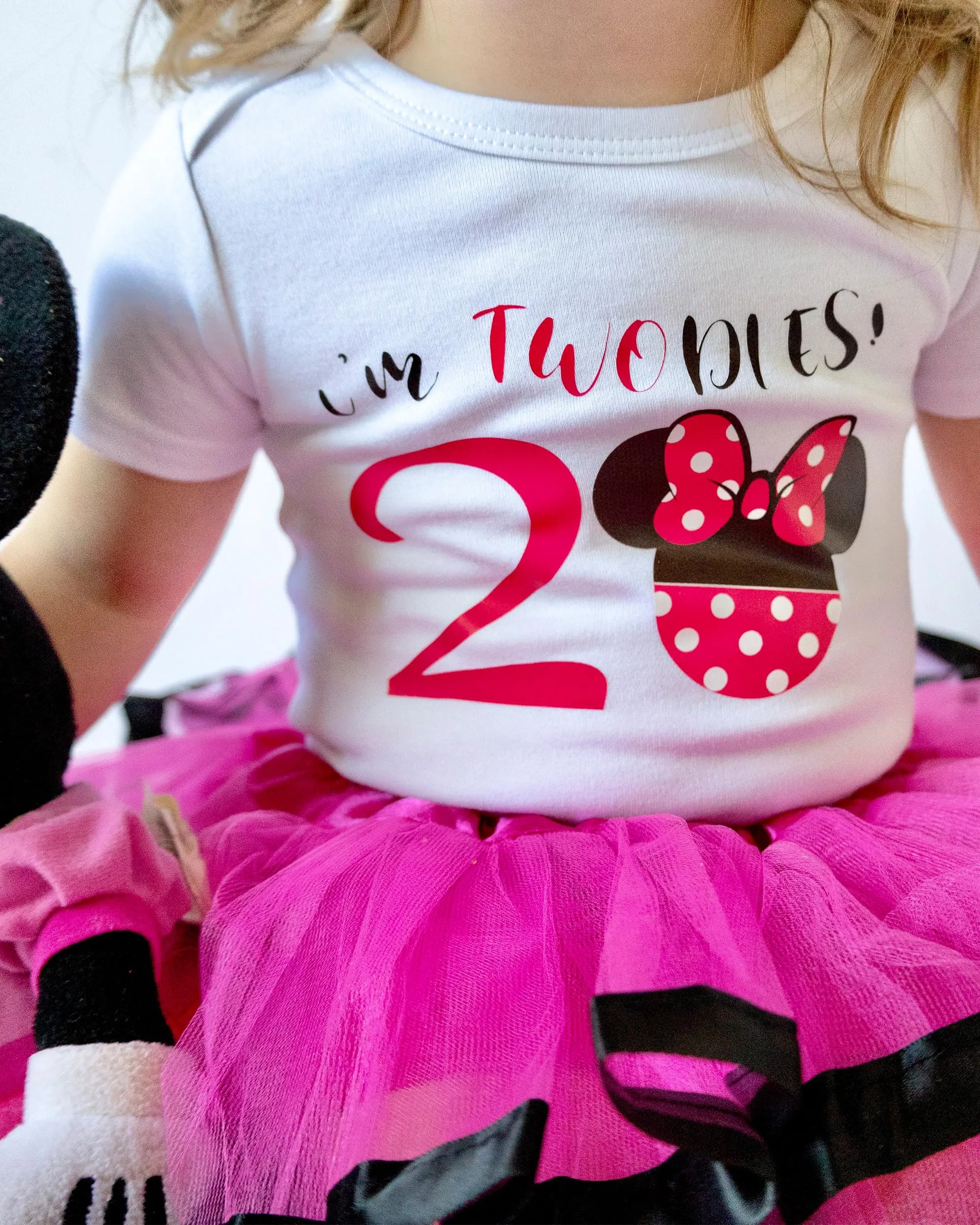 2nd Second Birthday Girl Outfit Mouse Shirt Twodlesminnietutu Short Sleeve