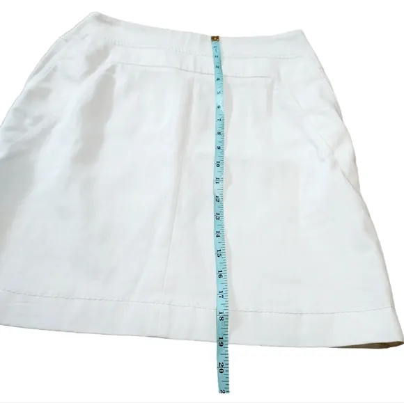 AKRIS punto Structured Pencil Lined Skirt size 6