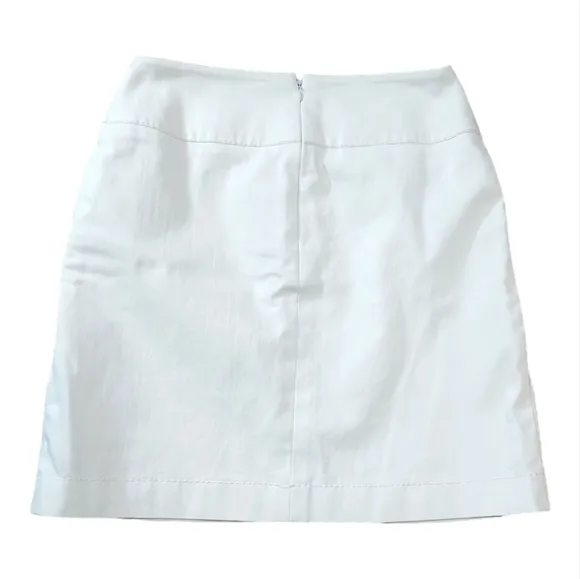 AKRIS punto Structured Pencil Lined Skirt size 6