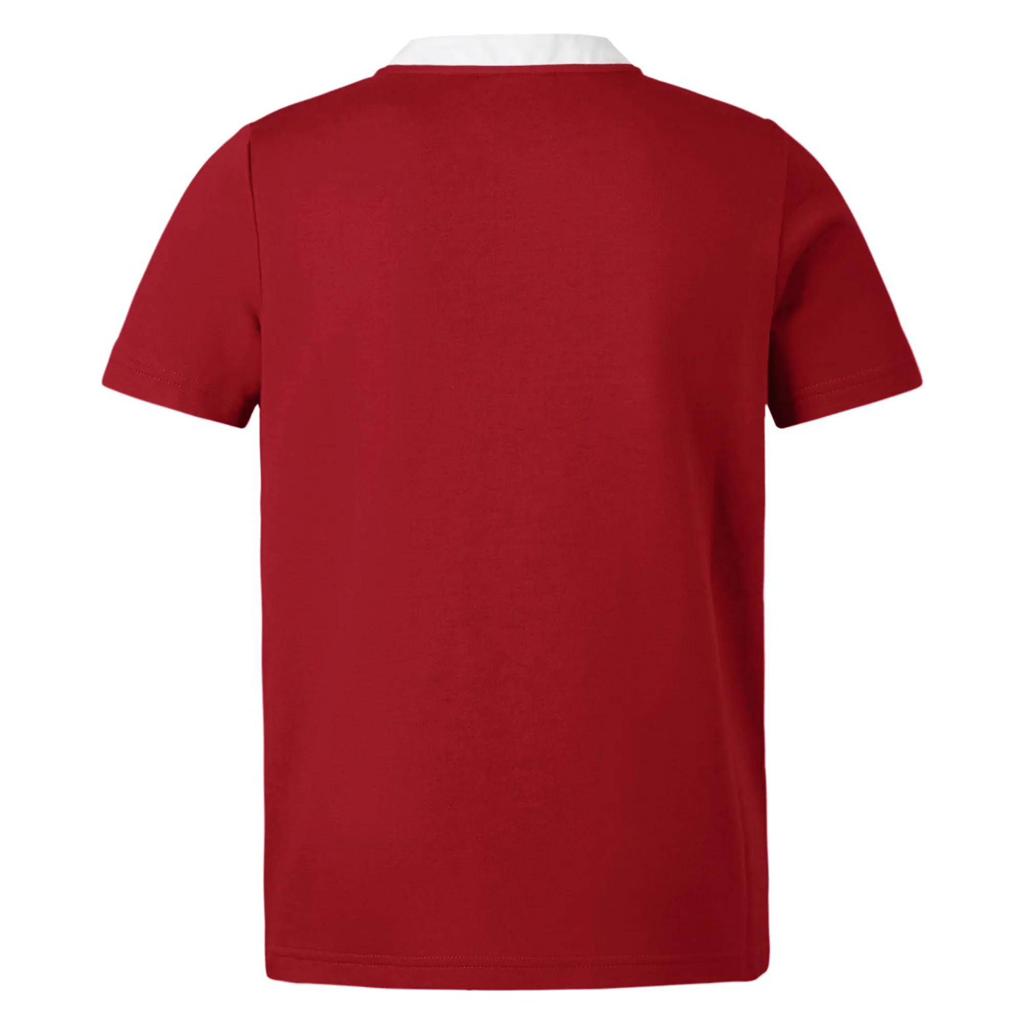 British & Irish Lions 2025 Classic Jersey by Canterbury