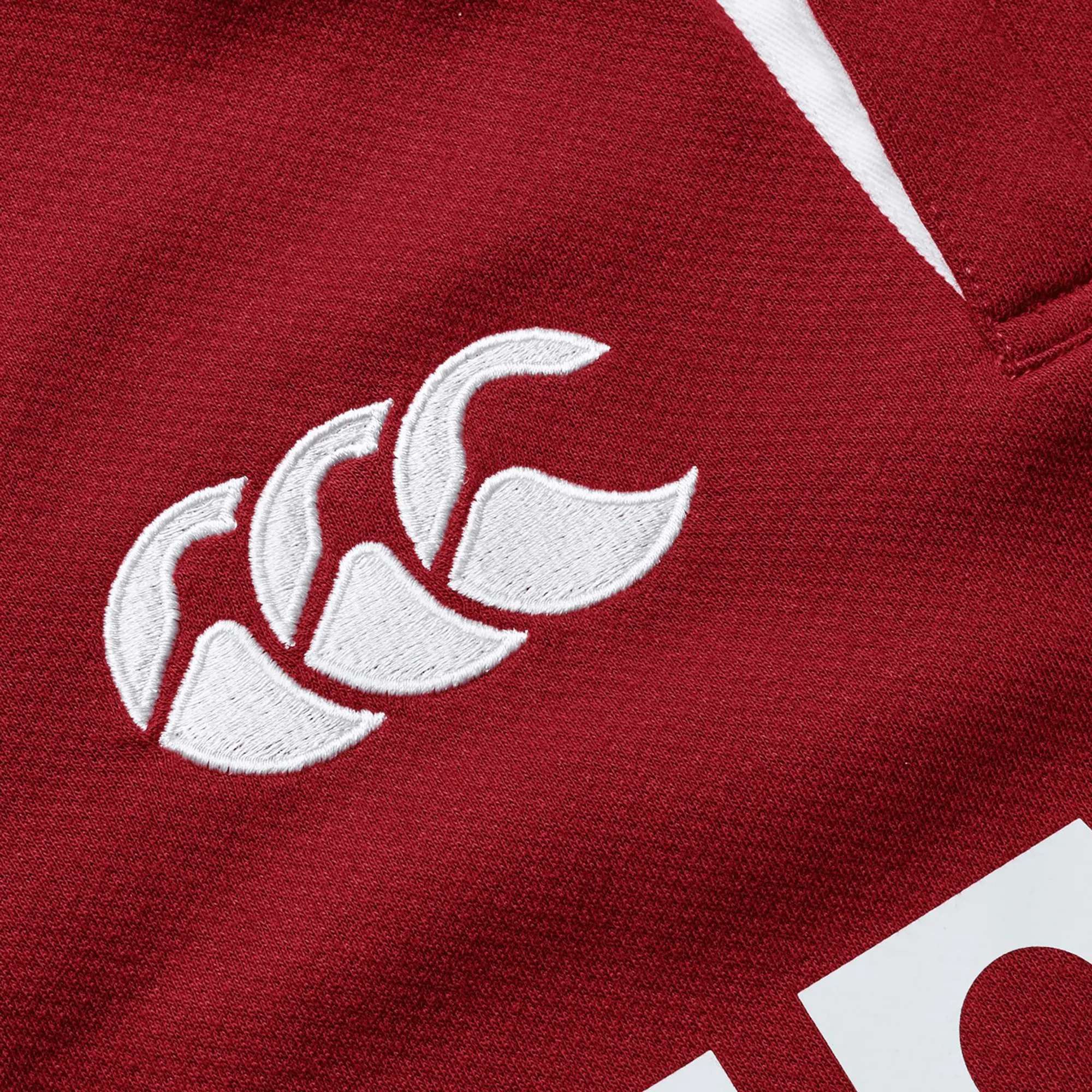 British & Irish Lions 2025 Classic Jersey by Canterbury