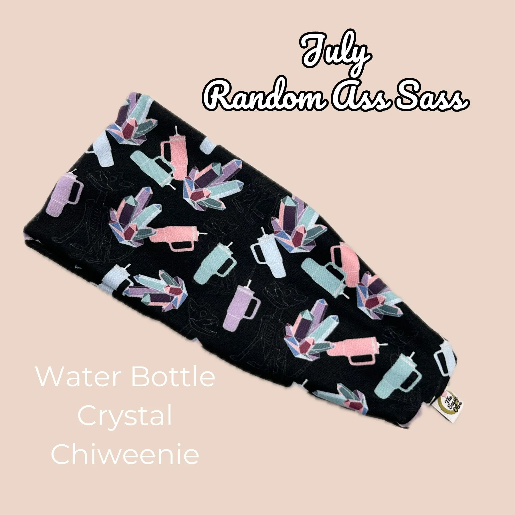 Crystal Chiweenie Water Bottle Random Ass Stretch