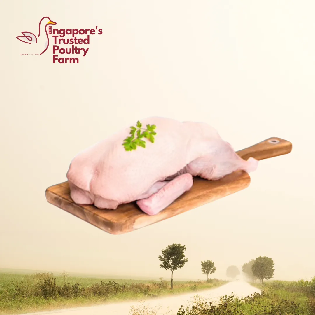 Fresh Duck