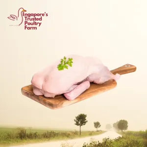 Fresh Duck