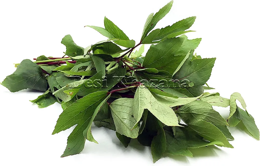Fresh Gongura / Ambadi (1 Bunch)