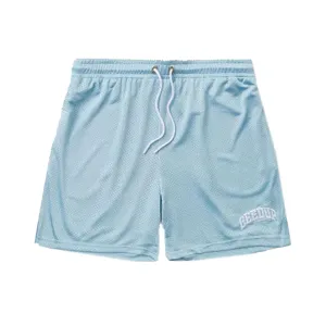 Geedup Team Logo Mesh Shorts 'Cool Blue'