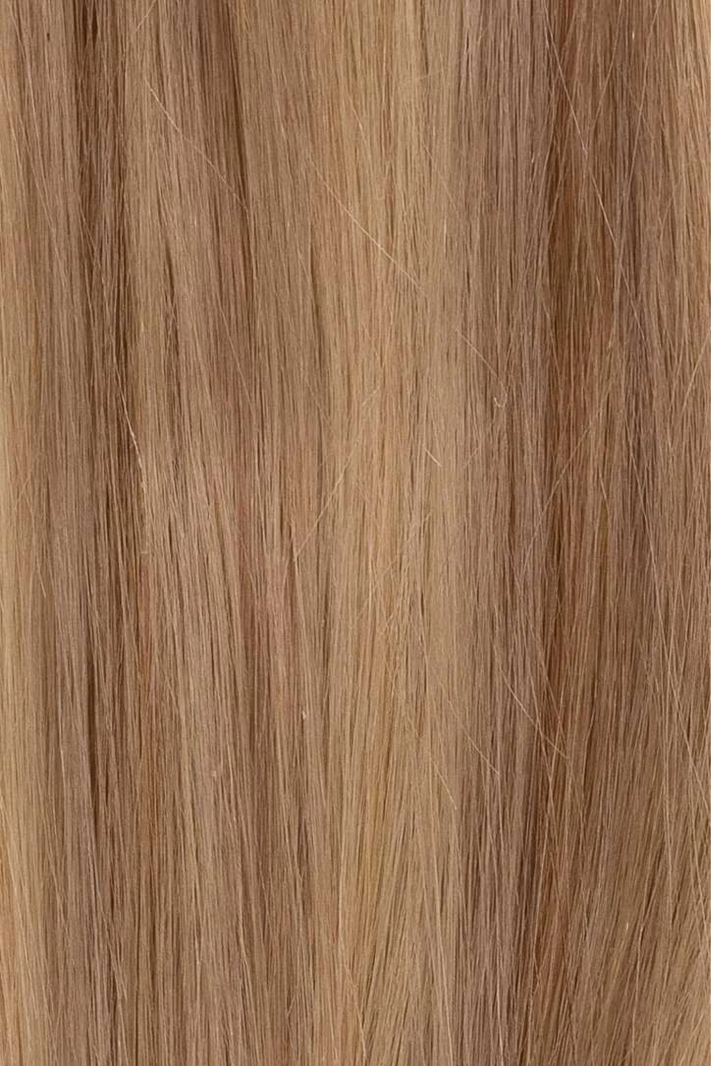 Golden Sands | 21” Classic