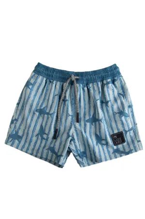 Matchoo - Tot Boys Boardie