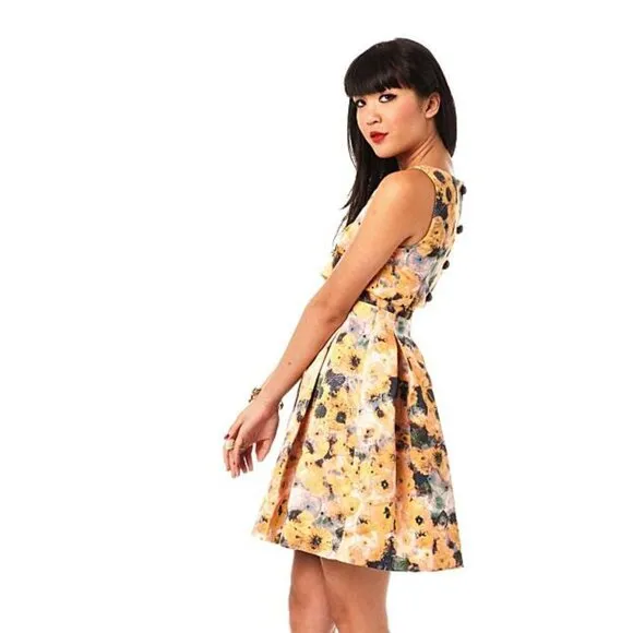 McGinn for Anthropologie Womens Sleeveless Yellow Floral Dress w/Pleats Size 4