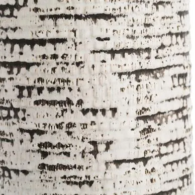 Nico Ceramic Table Lamp