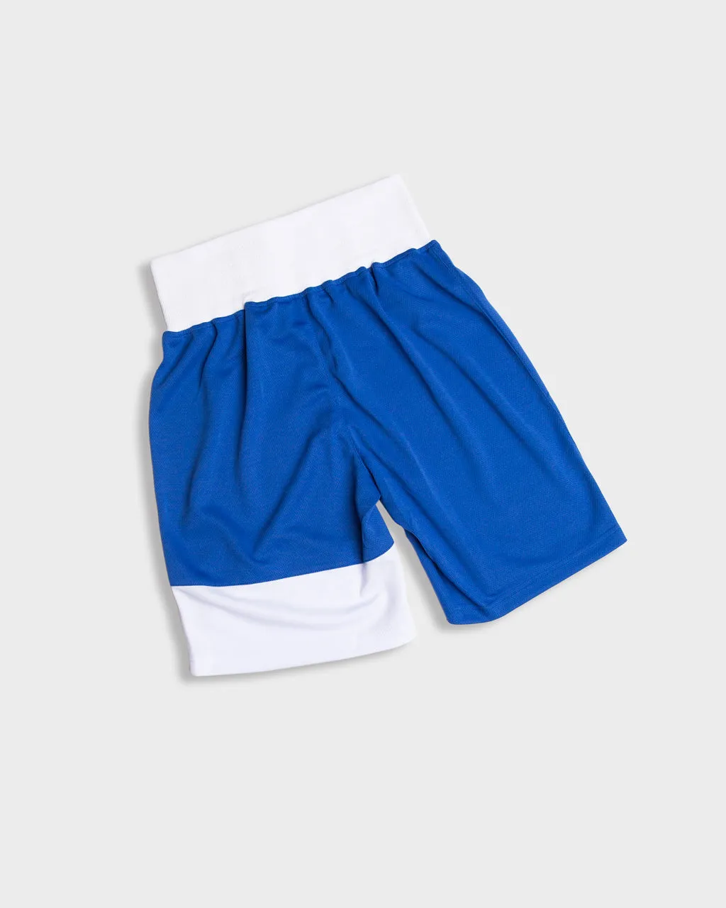 Powrlight V1 Shorts - Blue