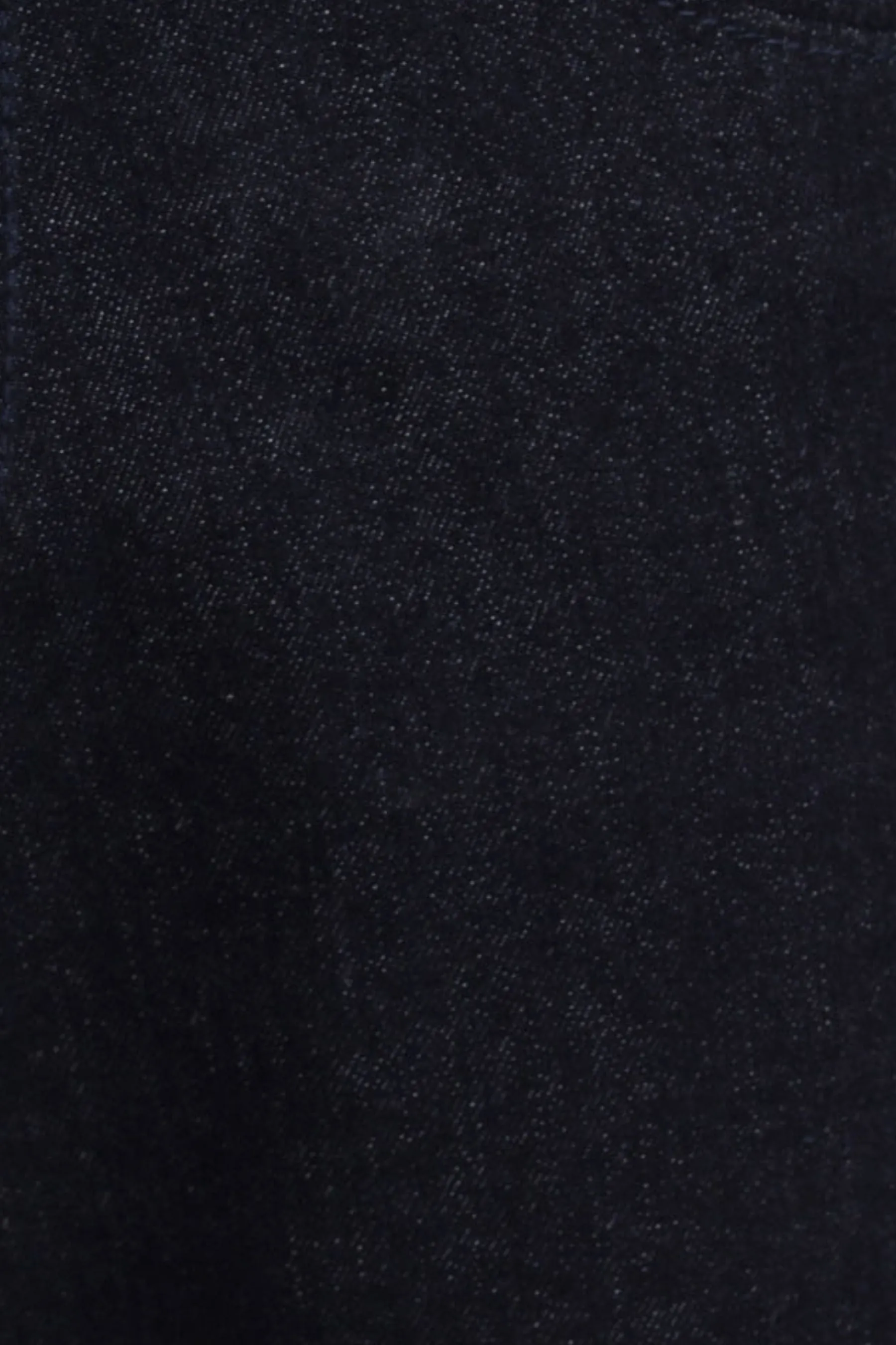 Raw Indigo Skinny Fit