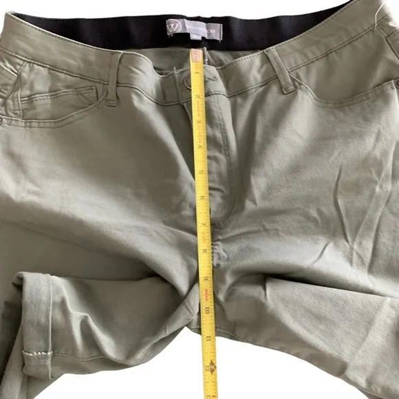 Wit &amp; Wisdom 'Ab'Solution Stretch Cotton Shorts in Lipd-Lili Pad Green Size 16