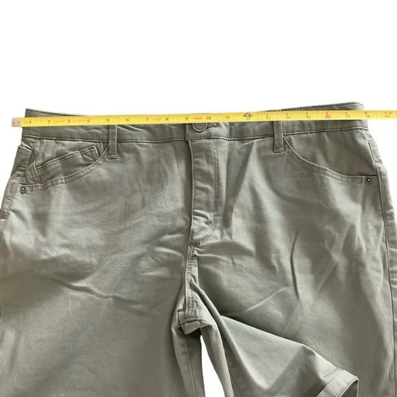 Wit &amp; Wisdom 'Ab'Solution Stretch Cotton Shorts in Lipd-Lili Pad Green Size 16