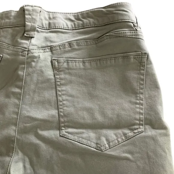 Wit &amp; Wisdom 'Ab'Solution Stretch Cotton Shorts in Lipd-Lili Pad Green Size 16